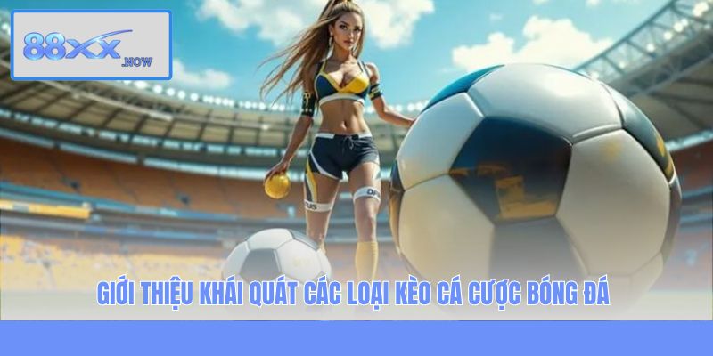 Giới thiệu khái quát các loại kèo cá cược bóng đá